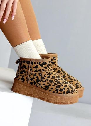 Угги угги лео леопард10 фото