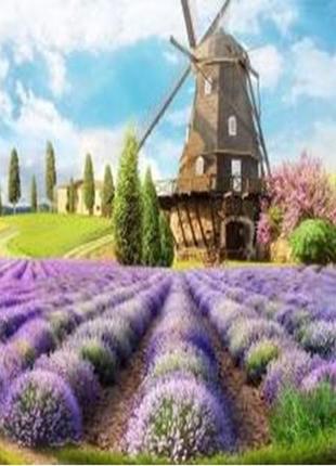 Алмазна вишивка. картина на картоні "лавандове поле" , розмір 21х25