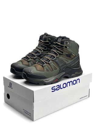 Чоловічі кросівки salomon quest 4 gtx khaki fur