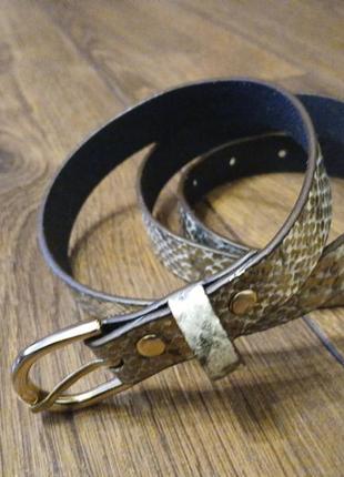 Ремень под рептилию