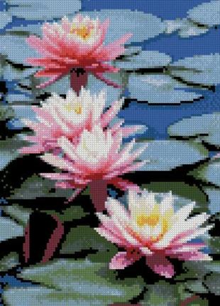 Алмазная вышивка. картина на подрамнике "розовые кувшинки", размер 40х30 см