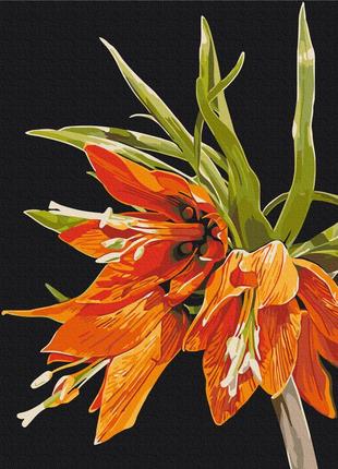 Картина за номерами 40х50 на дерев'яному підрамнику "фрітіларія © anastasiia osmolovska" bs54138