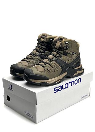 Чоловічі кросівки salomon quest 4 gtx brown fur
