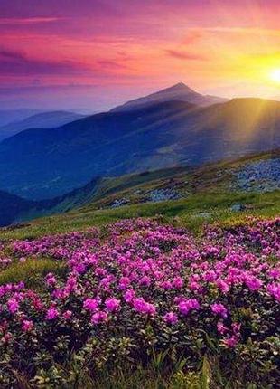 Картина по номерам "рассвет в горах", 40х50см