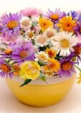 Алмазна вишивка. картина на підрамнику сонячний настрій, розмір 20х30 см