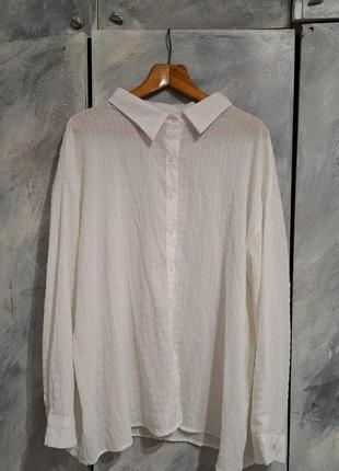 Легкая прозрачная рубашка