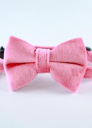 Оксамитовий нашийник для котів зі знімним бантиком рожевий