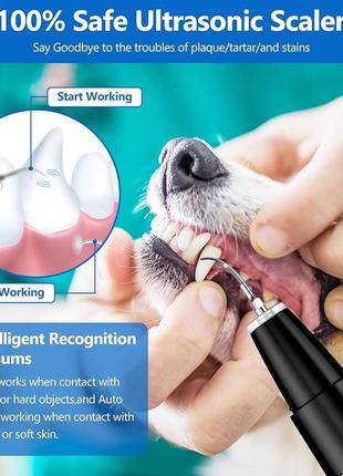 Ультразвуковий засіб для видалення зубного нальоту ni-shen для хатніх тварин