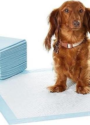 Пелюшки для собак 56х56 amazon basics  (b00mw8g3yu) 2588