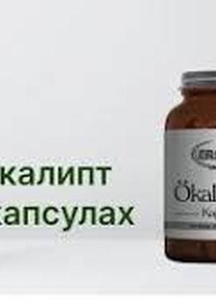 Капсулы с экстрактом эвкалипта ersag профилактика рака инфарктов инсультов  60 капс7 фото