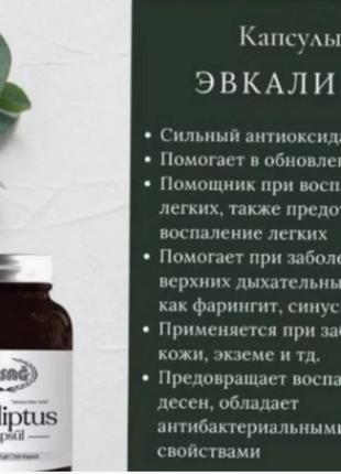 Капсулы с экстрактом эвкалипта ersag профилактика рака инфарктов инсультов  60 капс8 фото