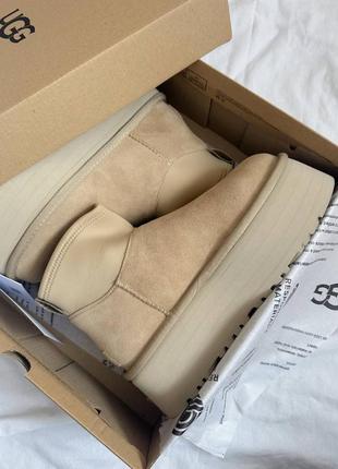 Замшевые женские угги ugg dipper grey