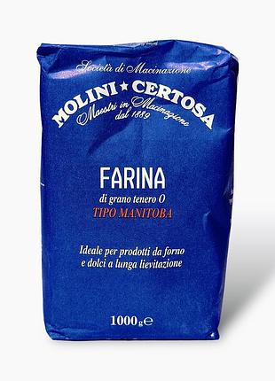 Molini certosa мука для солодкої випічки farina tipo manitoba 1000 г