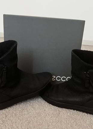 Чоботи ecco