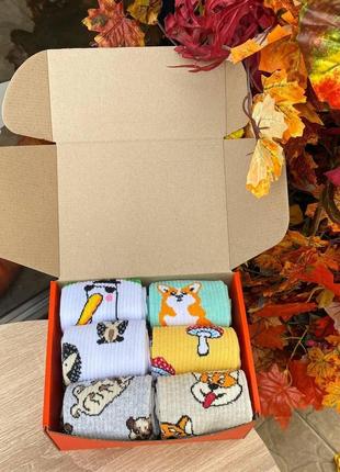 Подарочный бокс женских носков на 12 пар 36-41 г pro_665