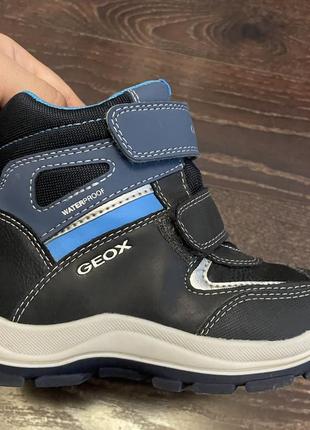 Ботинки geox