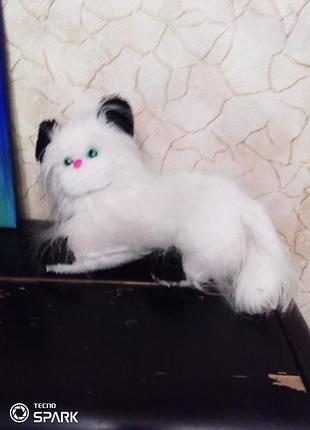 Котик