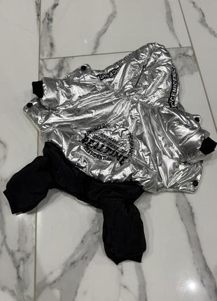 Комбінезон для собачки або котика, одяг для тварин