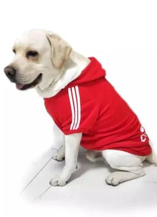 Худі толстовка adidog на флісі для великих собак 9xl