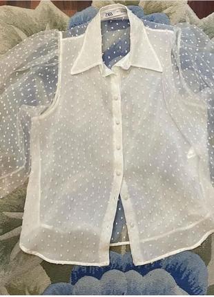 Біла блуза