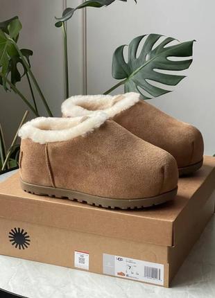 Уги угі угги уггі ugg pumped slide chestnut