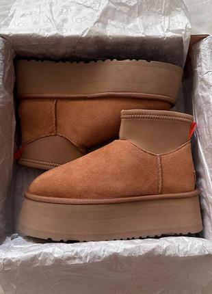 Уги угі угги уггі ugg classic mini dipper boot chestnut