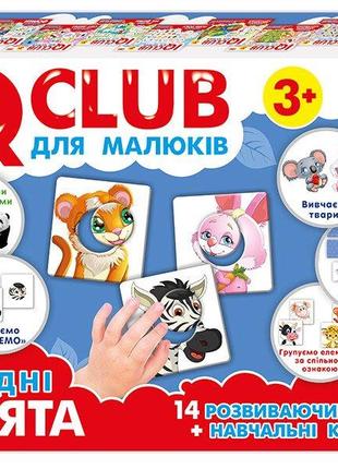 Игра iq club "мордочки"