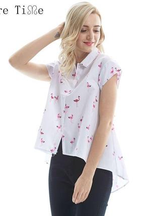 Блузка из бламинго хлопковая zara