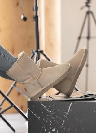 Угги уггі угг 1131810K ugg classic