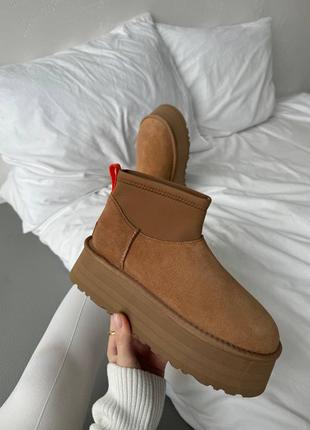 Замшевые женские зимние угги ugg boots