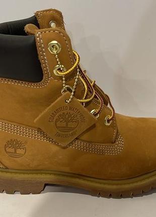 Timberland