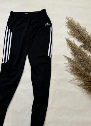 Спортивні штани adidas