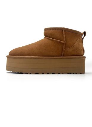 Ботинки сапоги челси высокие ugg holzer 2022 кожа