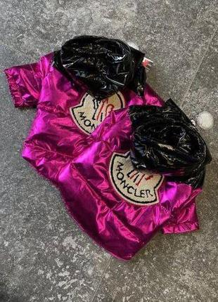Зимова пухова куртка для песика  moncler