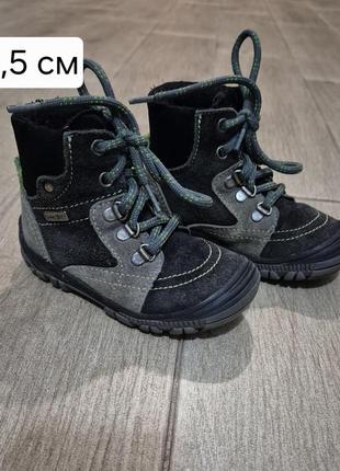 Сапожки утепленные деми