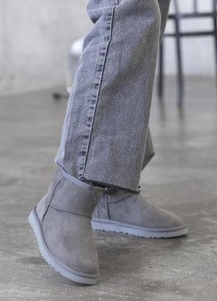 Женские угги ugg classic mini grey мини серого цвета