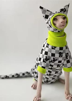 Костюм для кота сфинкса