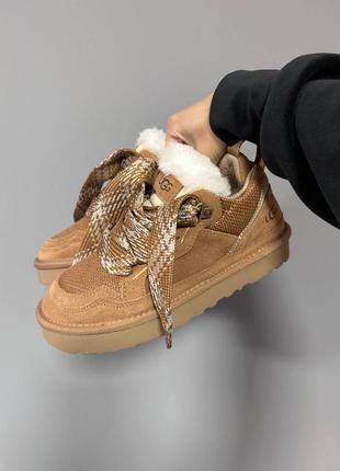 Уги угі угги уггі ugg lowmel sneaker chestnut premium