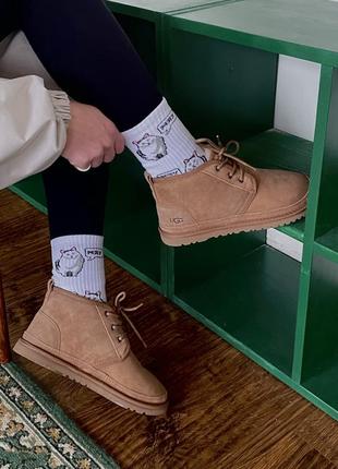 Уги угі угги уггі ugg neumel chestnut