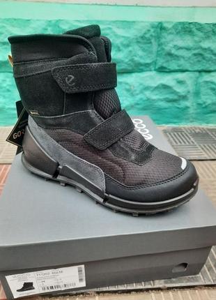 Ecco biom k2 711203 60518