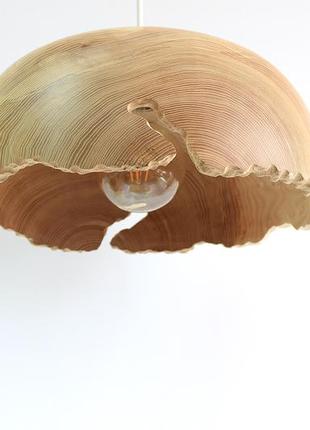Світла люстра з нерівним краєм (1529) під замовлення3 фото