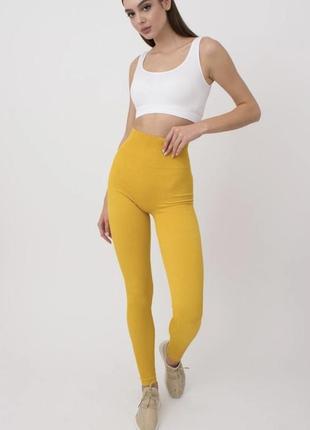 Нові легінси