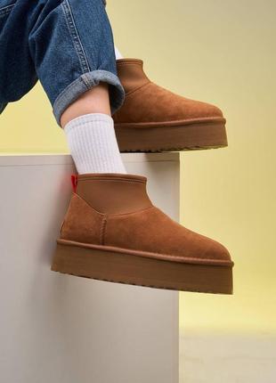 Уггі угг угги Amp ugg classic mini dipper chestnut