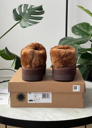 Угги угги угг ugg tazzlita hardwood8 фото