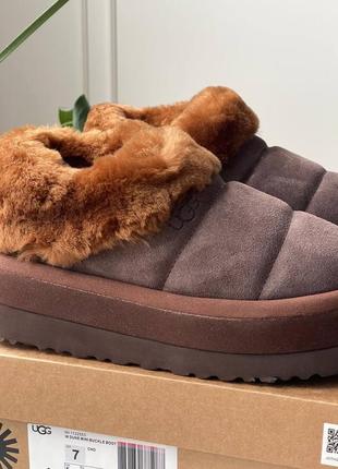 Угги угги угг ugg tazzlita hardwood5 фото