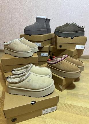 Ugg tazz угг таз