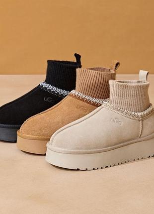 Ugg tazz угги таз угги угги угги