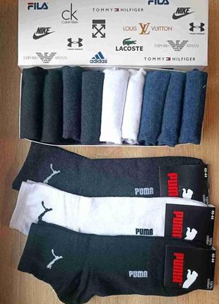 Носки, носки мужские Nrgy puma -набор 12 пар в коробке