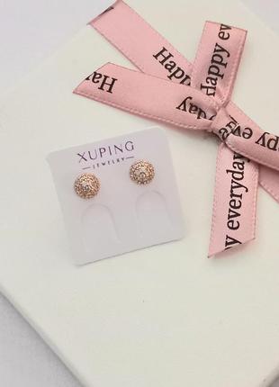 Сережки гвоздики