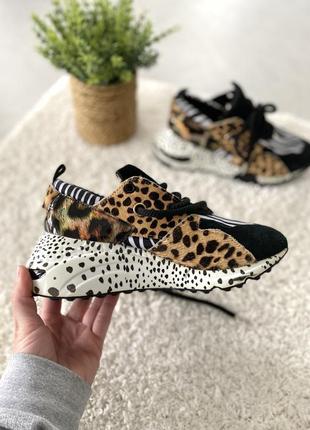 Кроссовки steve madden оригинал 38р.